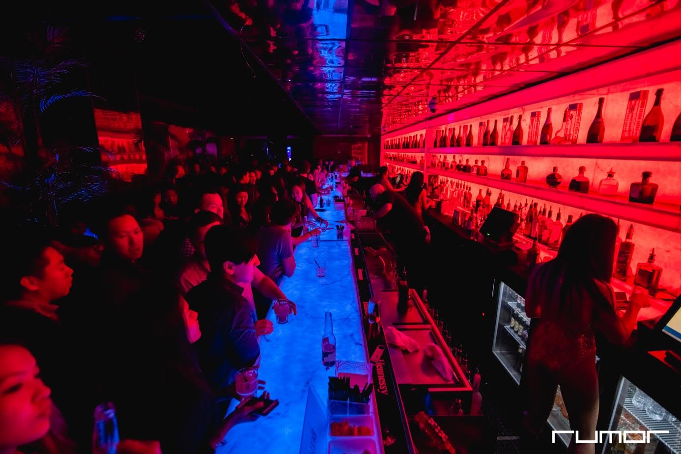 Rumor Ladder 15 Field House Stats On 17th 1500